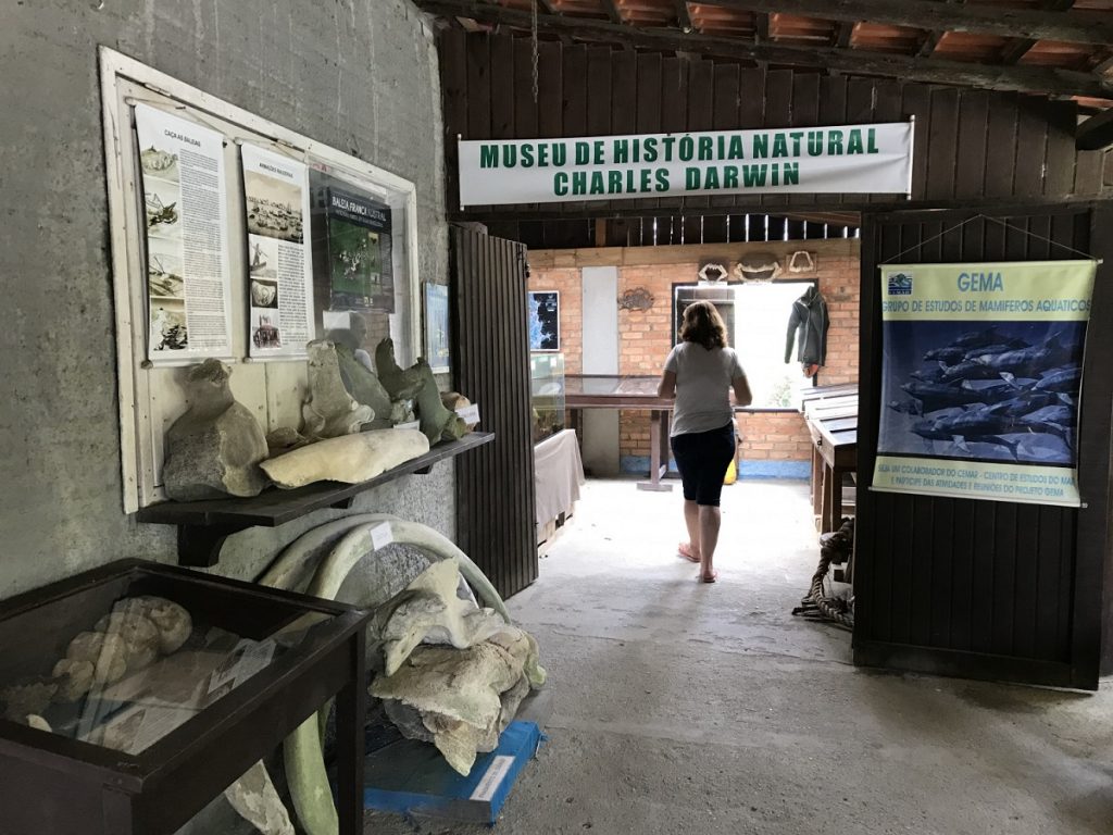 O Museu de História Natural Charles Darwin em Bombinhas. Fonte: Amanda Weber/Setur Bombinhas.