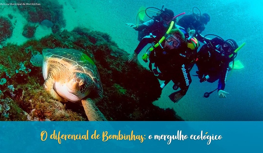 O diferencial de Bombinhas: o mergulho ecológico