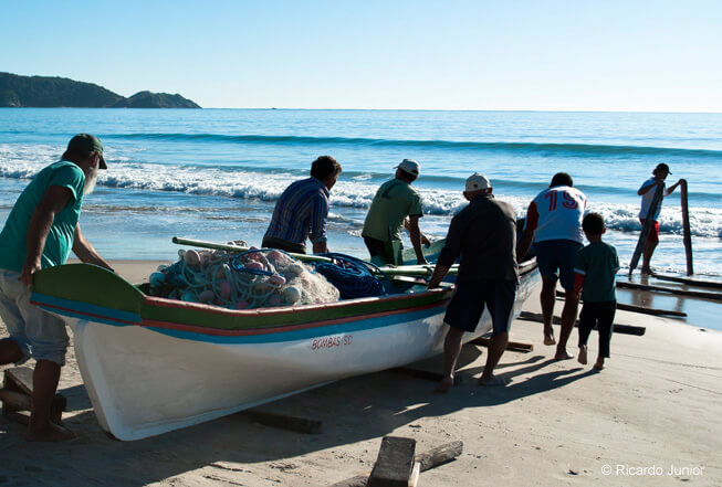 Temporada de pesca da tainha em Bombinhas